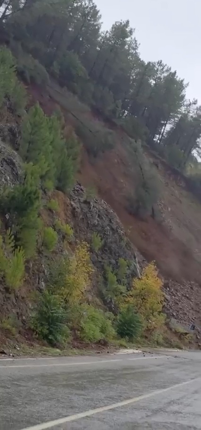 Yalova'da toprak kayması ağaçları yola sürükledi, tek şerit ulaşıma kapandı