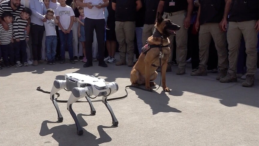 TEKNOFEST Güneydoğu'da dedektör köpek ile robot köpek birlikte gösteri yaptı