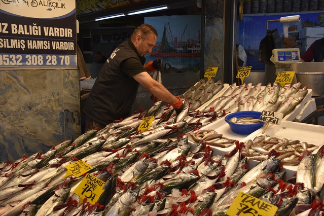 Trabzon'da palamut bolluğu balıkçıları sevindirdi, 3 palamut 100 liradan satılıyor