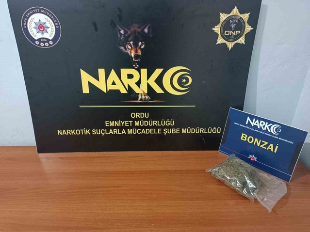 Fatsa'da otomobilde yakalanan şüpheli, 49,55 gram sentetik uyuşturucuyla tutuklandı