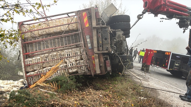 Bolu'da tavuk yüklü kamyon devrildi, araçtakilerden 4 kişi yaralandı