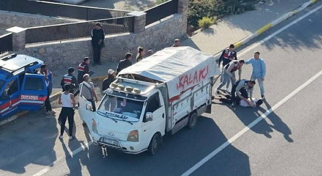 Edremit'te 24 yıl 1 ay hapis cezası bulunan firari A.D. zeytin toplarken yakalandı