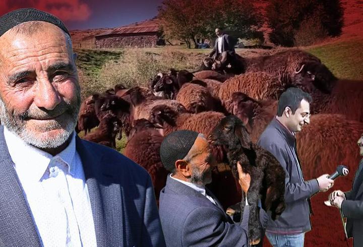 18 yıl sonra yine "koştu geldi" | "Yas yas yas gley" dedi ama koyunlar bu kez onu tanımadı