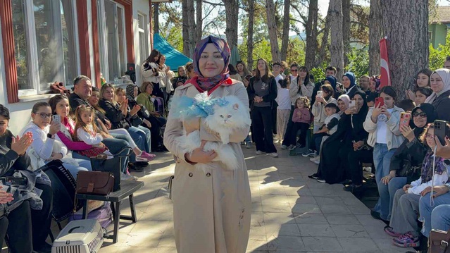 Tokat'ta kedi güzellik yarışmasına 20 kedi katıldı, Pamuk ve Duman birinci oldu