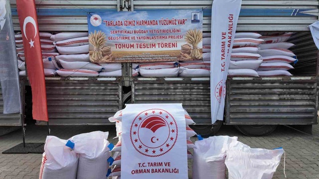 Gelibolu ve Eceabat'ta 55 üreticiye 62 bin 500 kg Esperia buğday tohumu dağıtıldı