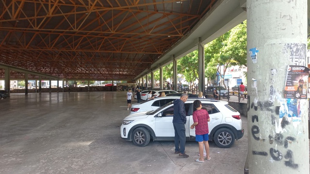 Adana Feke'de deprem sonrası Hopka Dağı'ndan kaya parçaları düştü, jeolog endişe yok dedi