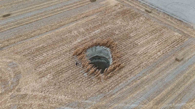Hasat sırasında ortaya çıktı: Konya'da tarlada 10 metre çaplı obruk