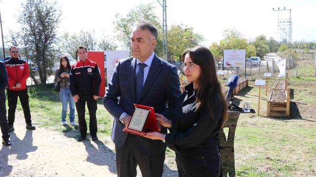 Safranbolu safranında hasat başladı, 55-56 kilogram kuru safran rekoltesi bekleniyor