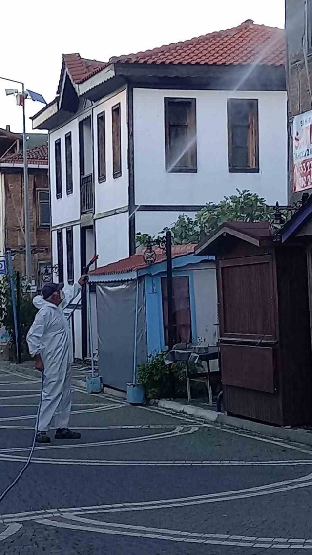 Akçakoca'da Muhtar Hasan Aydın, kahverengi kokarcaya karşı sokaklarda ilaçlama yaptı
