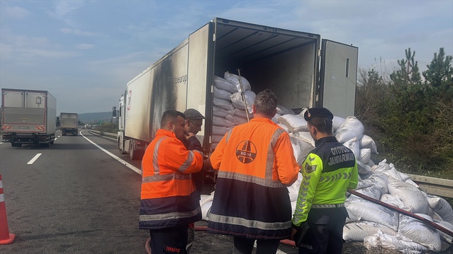 Düzce'de ayçiçeği çekirdeği yüklü tırın dorsesi yanarak hasar gördü