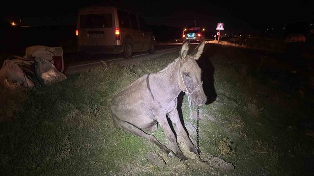 Karaman'da eşeğe çarpan araçta maddi hasar oluştu, ağır yaralı eşek telef oldu