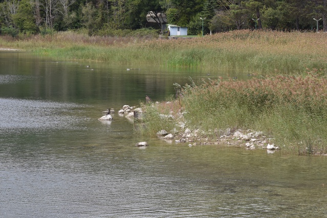 Sapanca Gölü'nde su seviyesi geçen yılın aynı dönemine göre 75 santimetre arttı