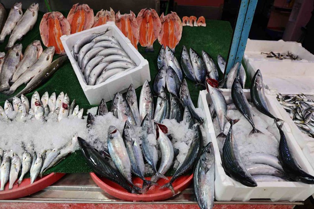 Elazığ'da palamut bereketi yaşanıyor, tezgahta kilosu 250 liradan satılıyor