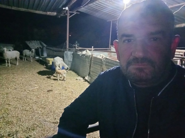 Aydın'da koyun otlatmaya giden 44 yaşındaki adam başından yaralı halde ölü bulundu