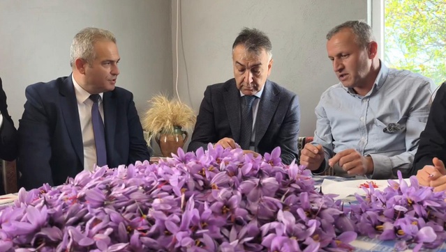 Karabük Safranbolu'da safran üreticisi 55'e ulaştı, kilosu 800 bin TL'den satılıyor
