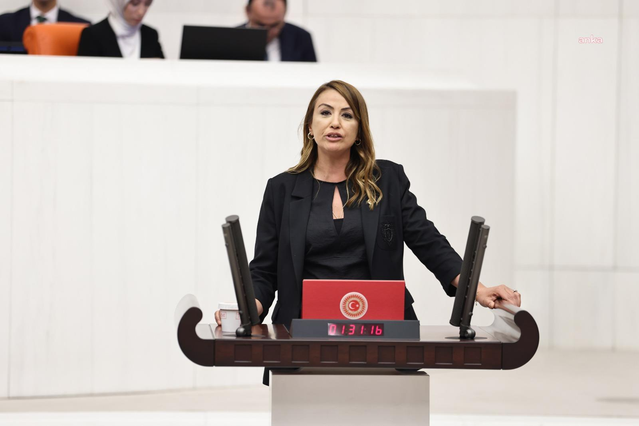 CHP'li Kara, Hatay sokak hayvanı barınağını soru önergesiyle Bakan Yumaklı'ya taşıdı