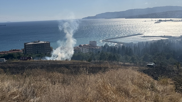 Tekirdağ'da otluk alandaki yangın 1 saatte söndürüldü, kaplumbağa kurtarıldı