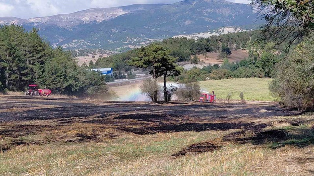 Bolu Mudurnu'da anız yangını ormana sıçradı, köylüler tankerle kontrol altına aldı