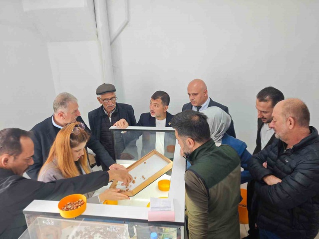 TMO'nun Düzce'deki fındık alımı yerinde incelendi, üreticilerin talepleri dinlendi