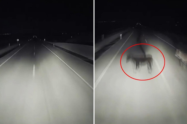 Görüntü Türkiye'den! Gecenin karanlığında dehşete düşüren olay