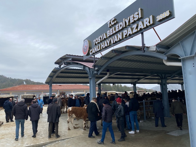 Kastamonu Tosya'da canlı hayvan pazarı şap nedeniyle ikinci duyuruya kadar kapatıldı