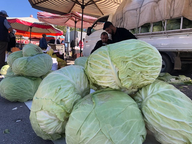 Erzincan'da lahana tezgahlarda 200 ile 250 TL arasında alıcı buluyor
