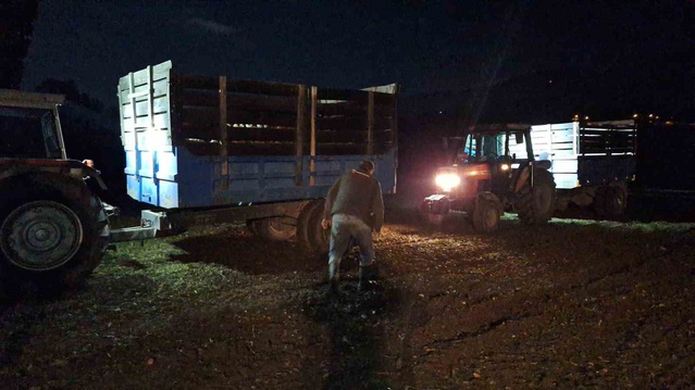 Erzincan'ın Çağlayan beldesinde pancar hasadı yağış uyarısıyla gece de sürüyor