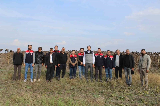 Kars Selim'de 80 dönümlük ayçiçeği hasadında Kaymakam Semiz üreticilerle buluştu