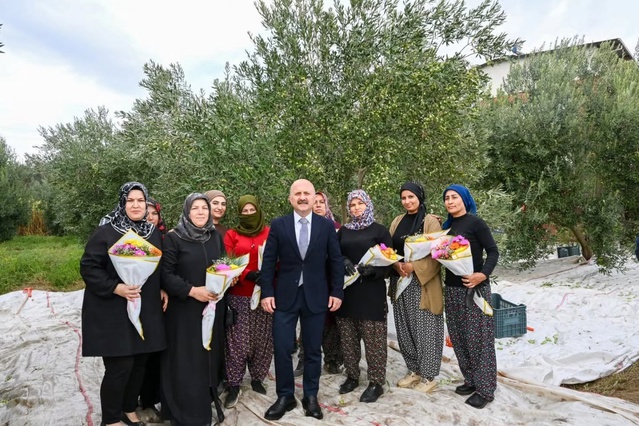 Aydın Valisi Varol, Kadın Çiftçiler Günü'nde kadınlarla birlikte zeytin topladı