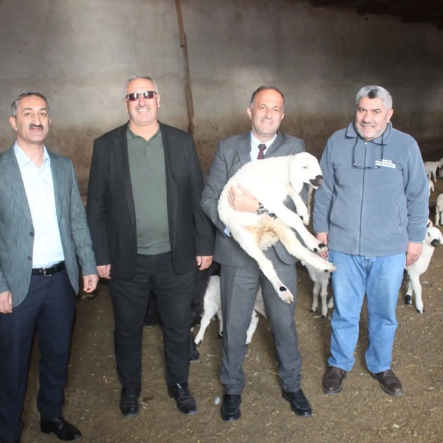 Yozgat Yerköy'de 600 küçükbaşlı işletmeye yüzde 50 hibeli KOP çadırı temin edildi