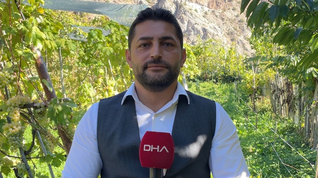 Artvin Yusufeli'de 2 salkımı 5 kilogramı bulan Peterek üzümünün hasadı başladı