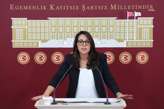 Sera Kadıgil, Halk TV kayyımının gündemi engelleme amacı taşıdığını savundu