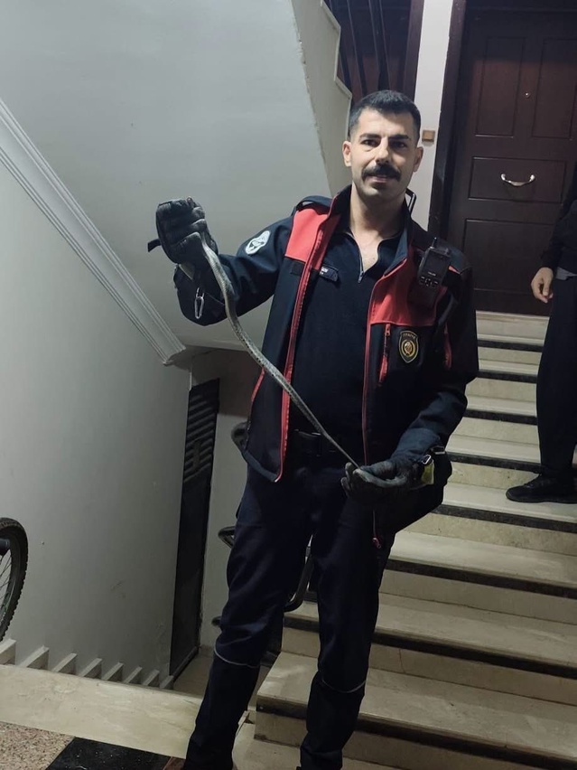 Hatay Defne'de yerleşim yerine giren yılan itfaiyece doğaya bırakıldı