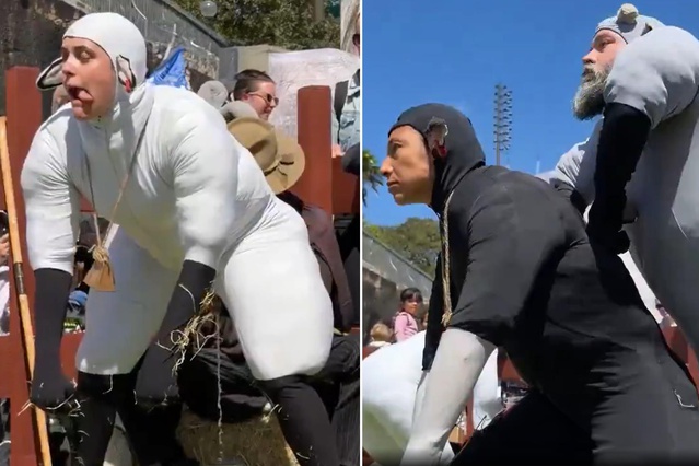 Koyun kılığına giren sanatçılar herkesi şaşırttı