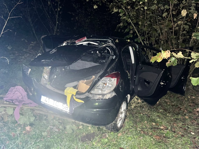 Zonguldak Ereğli'de yaklaşık 30 metreden bahçeye savrulan otomobilde 4 kişi yaralandı
