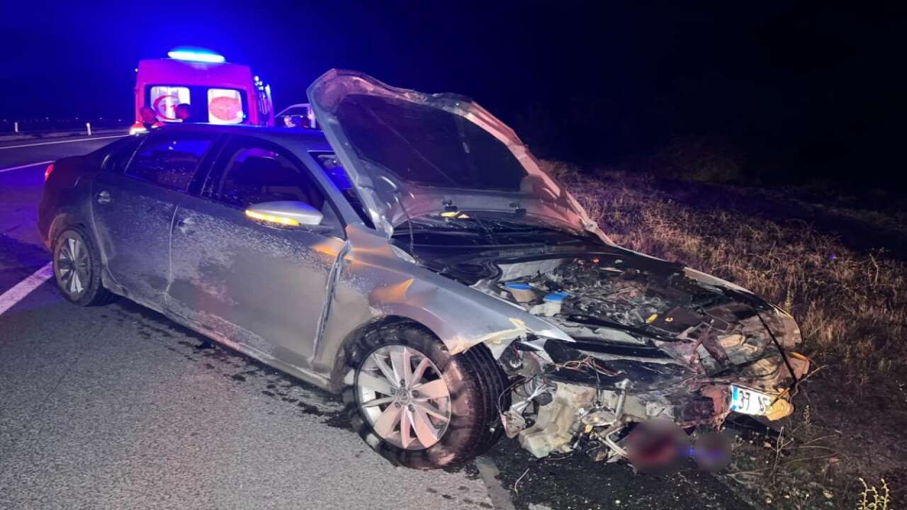 Kastamonu’da otomobil domuz sürüsüne çarptı