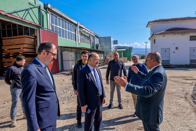 Kastamonu Valisi Dallı, Taşköprü'deki kontraplak fabrikasına ziyarette bulundu