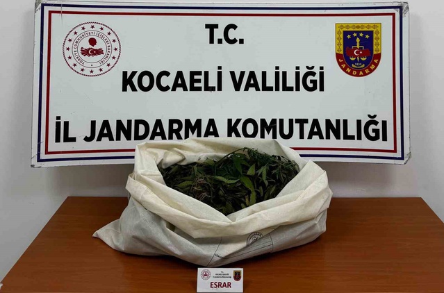 Kocaeli'de 4 ilçedeki operasyonda 3 kilo 356 gram kubar esrar ele geçirildi
