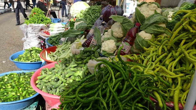 Van'da turşuluk sezonu açıldı, kornişonun 3 kilosu 100 liradan satılıyor