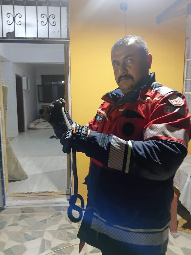 Hatay Hassa'da yerleşim yerindeki yılan zarar verilmeden yakalanıp doğaya bırakıldı