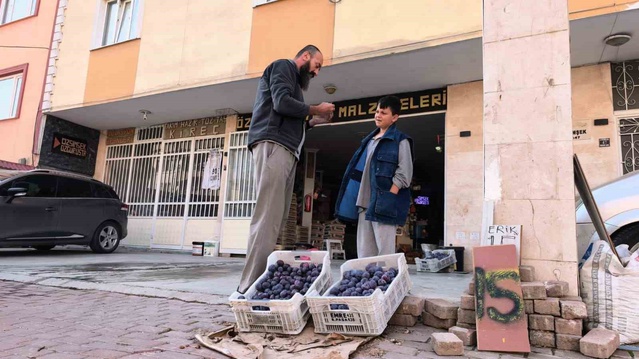 İnegöl'de erik satamayan Özgür Şimşek, 10 ton eriğin bir kısmını bedava dağıttı