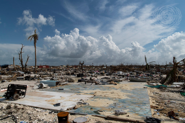 BM New York'ta COP31 öncesi Türkiye ve Avustralya'nın katıldığı toplantıyı düzenledi