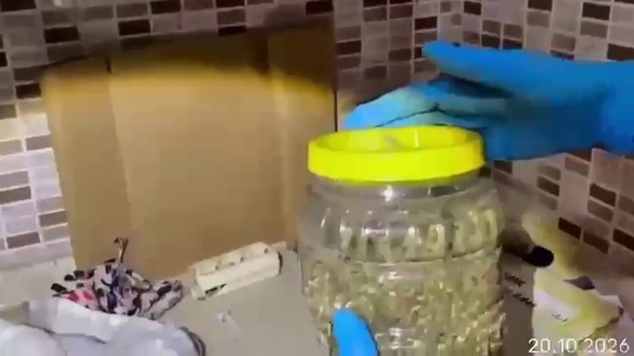 Mutfak dolabından esrar çıktı
