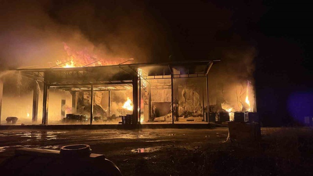Bursa İznik'te soğuk hava deposunda yangın çıktı, ekiplerin müdahalesi sürüyor