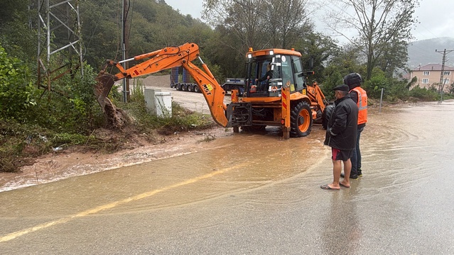Bartın'da fırtınada 10'u aşkın ağaç yola devrildi, 2 saat kapalı yol açıldı