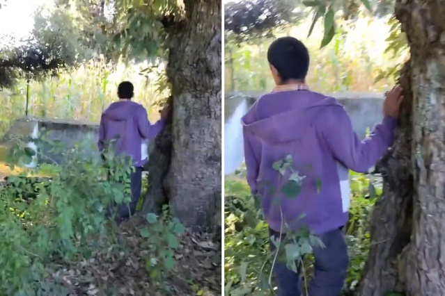 Garip sesler duyduğu yere gitti, gördüğü manzara karşısında şoke oldu