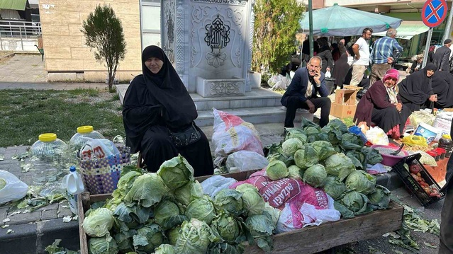 Alucra kelemi hasadı başladı, coğrafi işaret için çalışmalar sürüyor