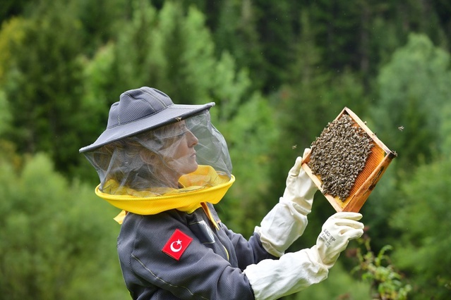 Artvin'de arı turizmi potansiyeli için Şavşat Maden köyünde inceleme yapıldı