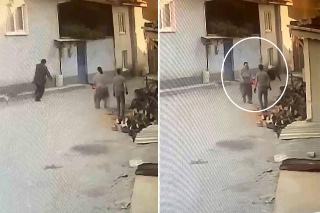 Yaşlı adama motorlu testereyle korku dolu anlar yaşattı