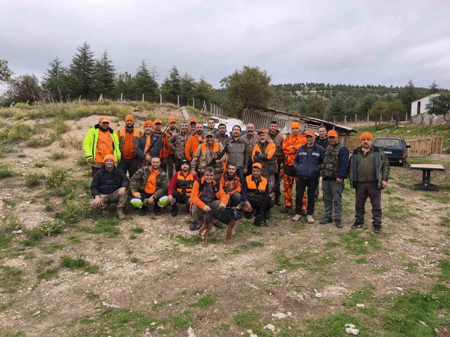 Isparta'da tarım arazilerine zarar veren domuzlara sürek avı düzenlendi, 47'si vuruldu